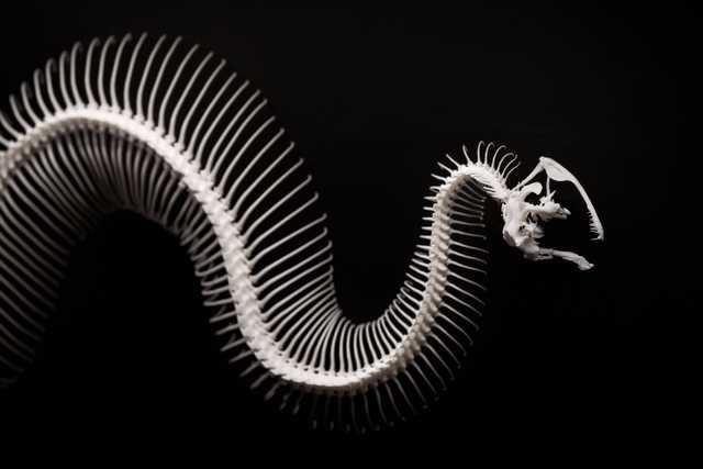 Image for article Type() function - when class is not enough